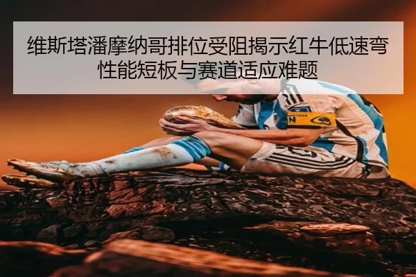 wei-si-ta-pan-mo-na-ge-pai-wei-shou-zu-jie-shi-hong-niu-di-su-wan-xing-neng-duan-ban-yu-sai-dao-shi-ying-nan-ti-2-616.jpg